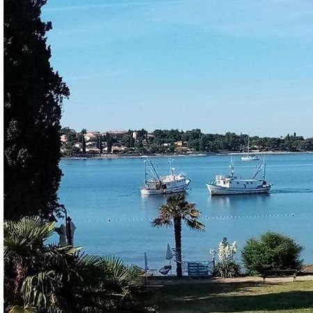 Apartment Villa Angelina, 70M From The Beach, Free Parking Novigrad Istria 外观 照片
