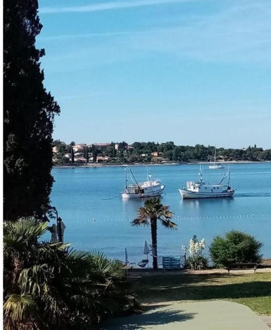 Apartment Villa Angelina, 70M From The Beach, Free Parking Novigrad Istria 外观 照片
