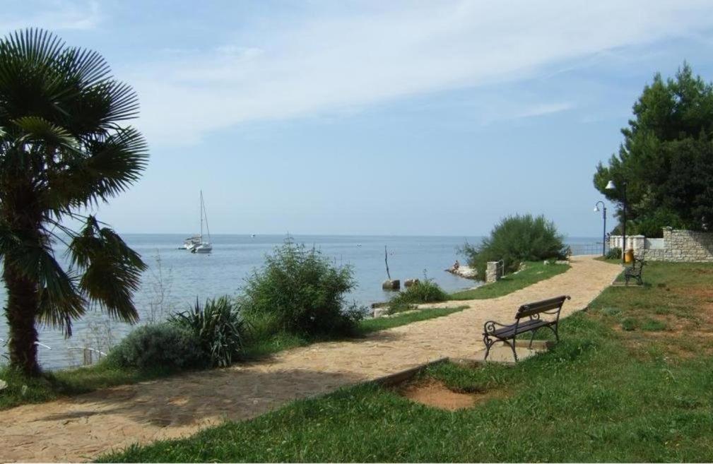 Apartment Villa Angelina, 70M From The Beach, Free Parking Novigrad Istria 外观 照片