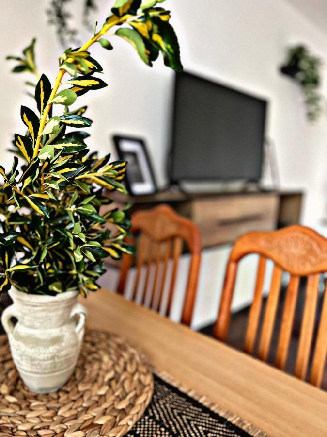 Apartment Villa Angelina, 70M From The Beach, Free Parking Novigrad Istria 外观 照片