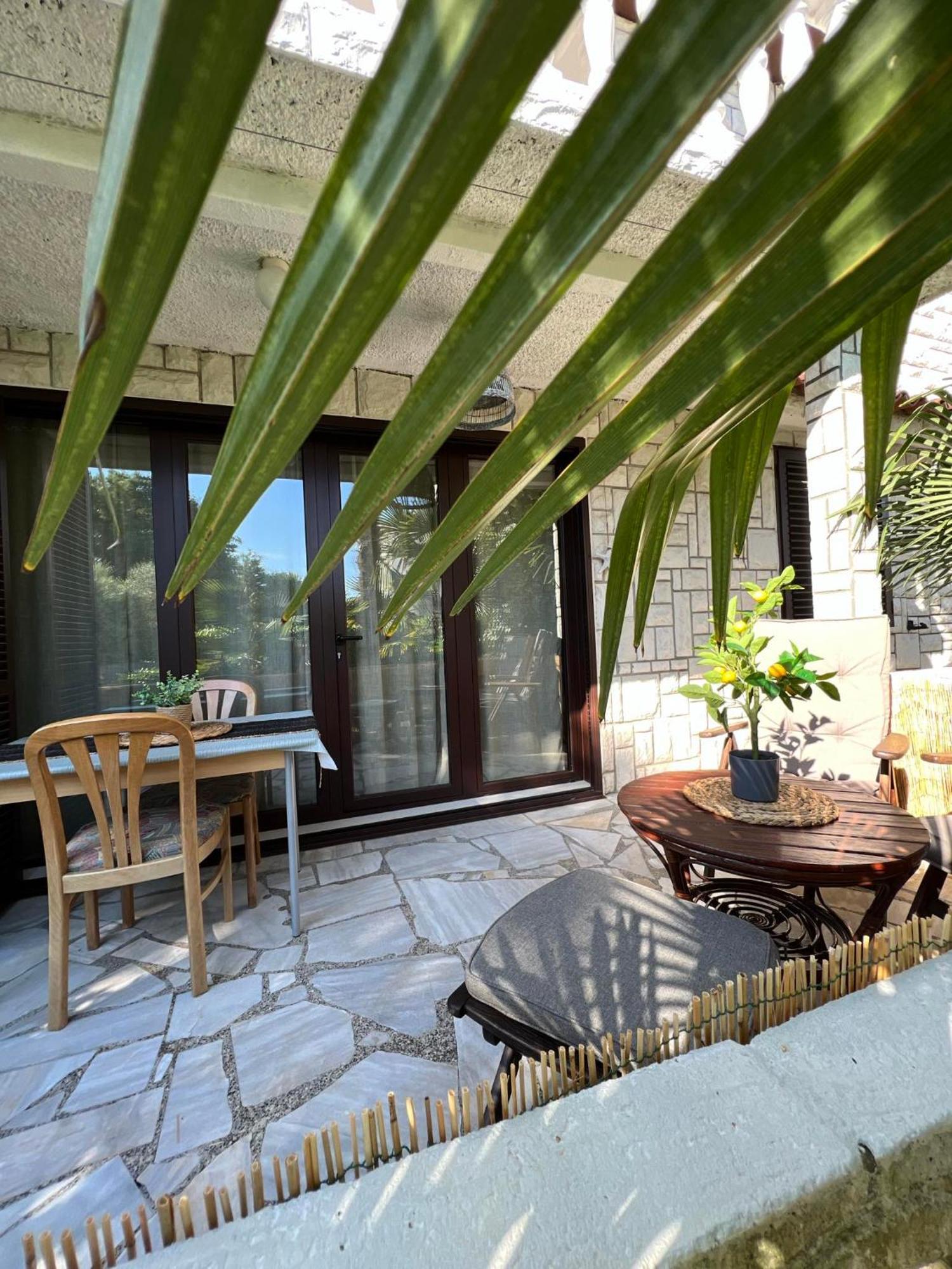Apartment Villa Angelina, 70M From The Beach, Free Parking Novigrad Istria 外观 照片