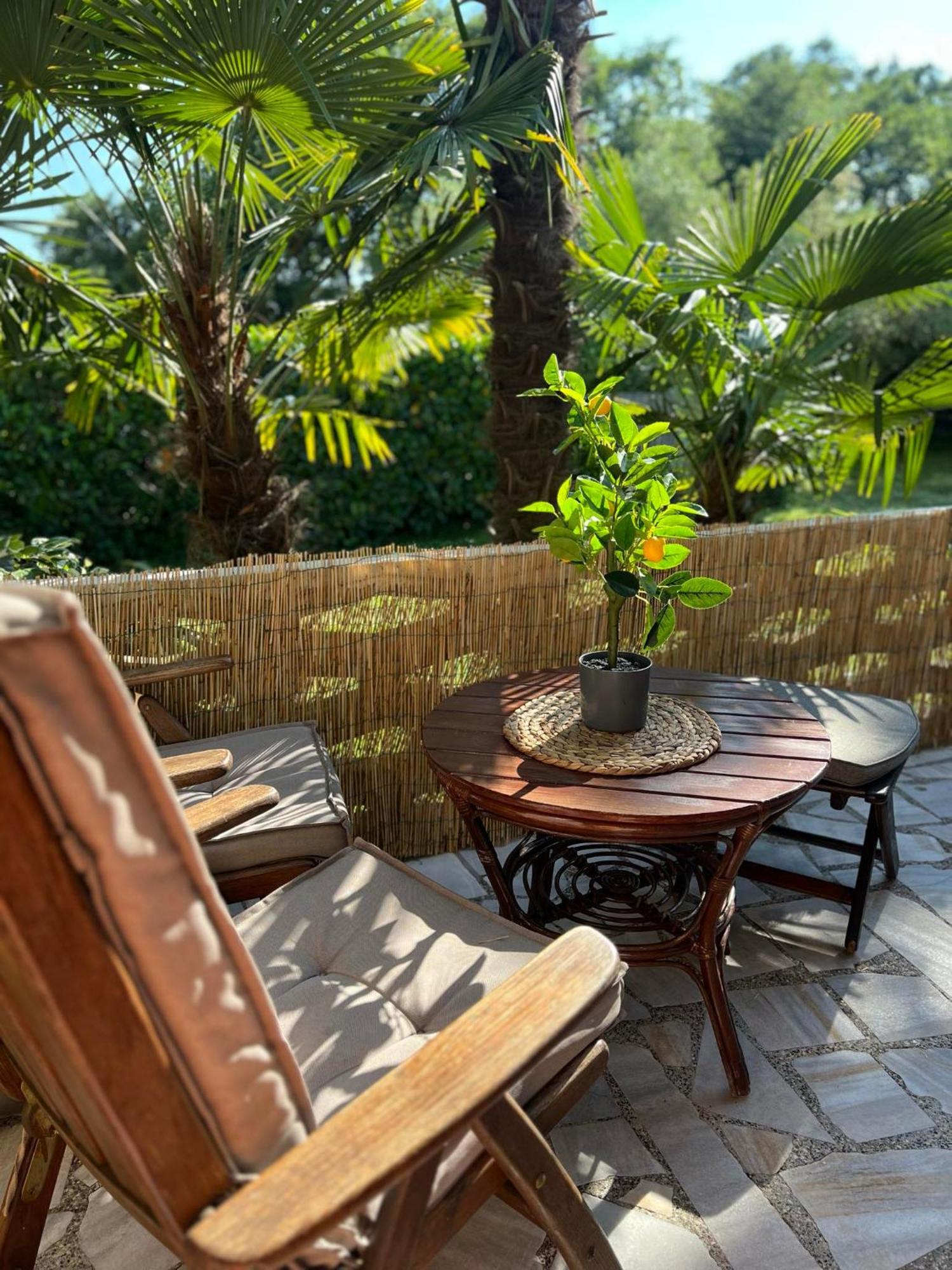 Apartment Villa Angelina, 70M From The Beach, Free Parking Novigrad Istria 外观 照片