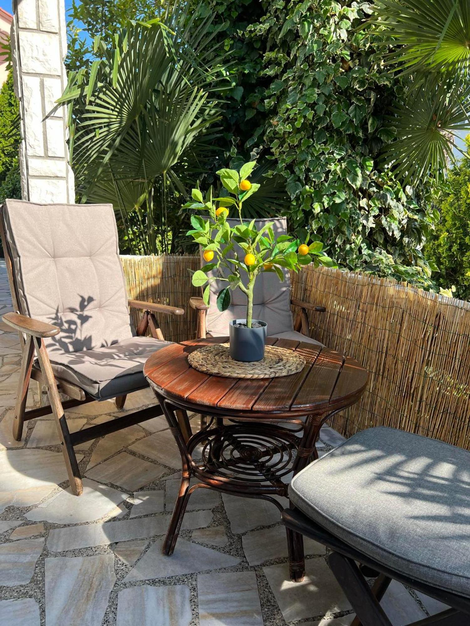 Apartment Villa Angelina, 70M From The Beach, Free Parking Novigrad Istria 外观 照片