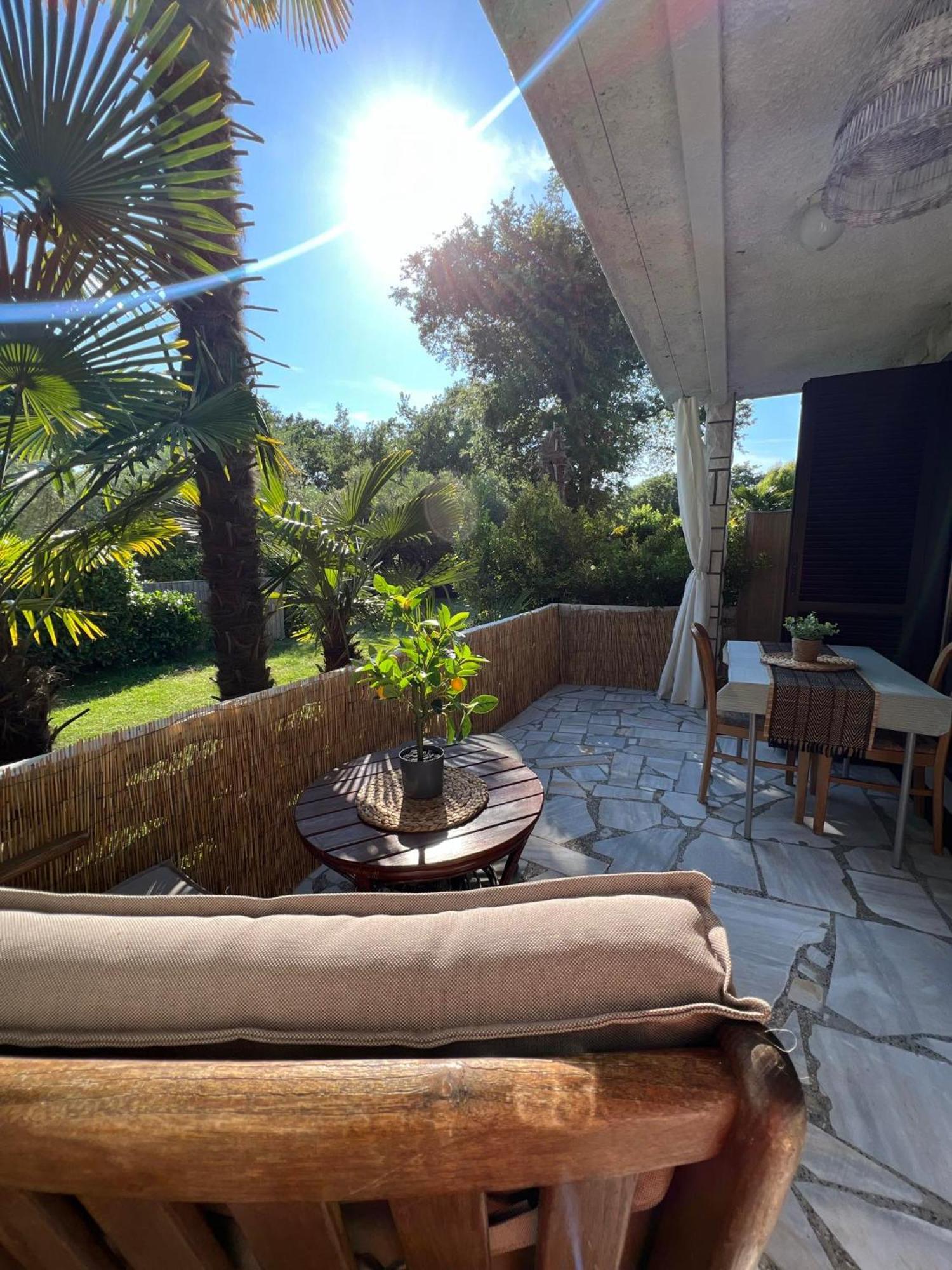 Apartment Villa Angelina, 70M From The Beach, Free Parking Novigrad Istria 外观 照片